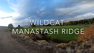 Wildcat  Manastash Ridge  Ellensburg Washington 2023 [upl. by Jamieson]