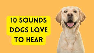 10 Sounds Dogs Love To Hear [upl. by Thera]