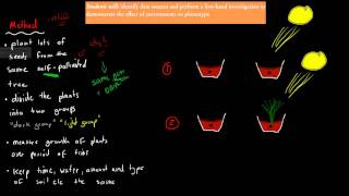 12 Environment and phenotype experiment HSC biology [upl. by Sanoy]