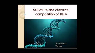 DNA structure and chemical composition डीएनए सरंचना तथा रासायनिक संगठन [upl. by Aniaz]