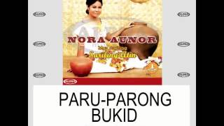 Nora Aunor  PARUPARONG BUKID Lyric Video [upl. by Ethelbert]