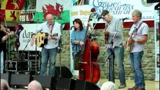 Gower Bluegrass 2016 [upl. by Adi]