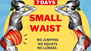 SMALL WAIST in 7 Days  40 MIN Standing Abs Workout  No Squat No Lunge No Jumping [upl. by Juditha531]