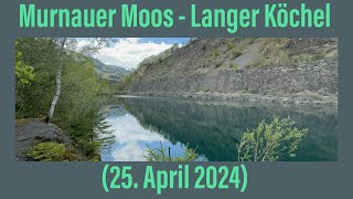 Murnauer Moos  Langer Koechel 25 April 2024 ￼ [upl. by Dikmen]