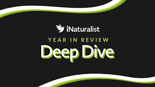 iNaturalist 2023 Deep Dive Webinar [upl. by Artinad678]