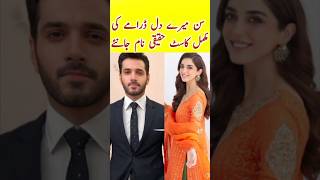 Sunn Mere Dil Fpisode 11 12  Sunn Mere Dil Drama Cast  Wahaj Ali  Maya Ali  sunnmeredildrama [upl. by Brade]