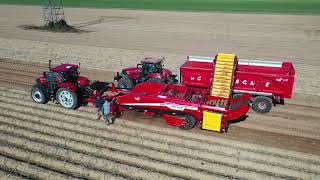 Démo de lArracheuse de Pommes de Terre SELECT 200  GRIMME avec le CASE IH PUMA 240 by Santerre [upl. by Odraboel728]