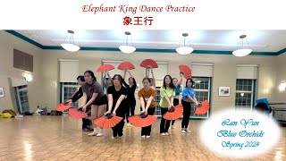 Dance Practice Elephant King 象王行  Xiang Wang Xing  Lan Yun Spring 2024 [upl. by Alleinad707]