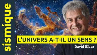 L’univers atil un sens   DAVID ELBAZ [upl. by Dranrev]