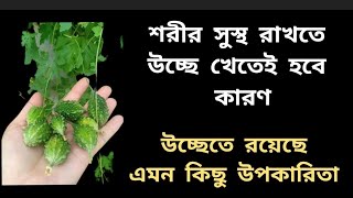 উচ্ছের স্বাস্থ্য উপকারিতা  Uchhe r upokarita [upl. by Loyce]