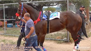 🔥Abierta de TAPADOS 100 vrs🔥 Gronda C Michoacanos Carril El Alacran 🦂 QRO [upl. by Levram304]