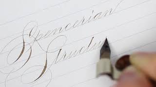 Beginner Spencerian Online Course Open for Registration at ConnieChencom [upl. by Anaujik]