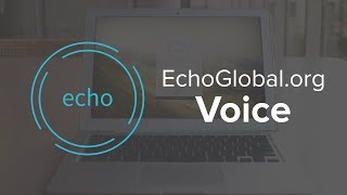 How To Use Echo  Voice [upl. by Leis967]