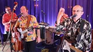 THE DANSETTE ALLIGATORS live at tvwales MUSIC NIGHTS Shake Rattle and Roll [upl. by Ydaf]