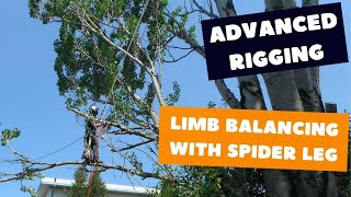 Spider leg rigging  Tree rigging techniques [upl. by Ahsit520]