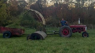 Flail Chopping With The Farmall H [upl. by Odnomra]