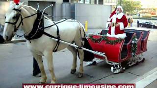 Horse Drawn Sleigh  Sleigh Rides 1  Carriage Limousine Service  Horse Drawn Carriages [upl. by Bellis]