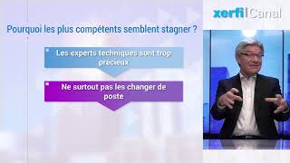 Pour être promu ne soyez pas trop compétent  Frédéric Fréry [upl. by Hamner]