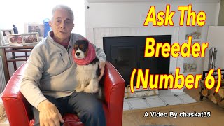 Ask The Breeder Number 6 [upl. by Seerdi]