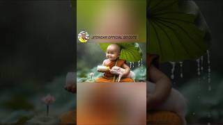 little monk so cute funniest animals videovialshorts little monky so cutebaby cutebaby 1159 [upl. by Repsaj]