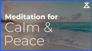 Guided Meditation for Peace and Calm 15 minute mindfulness practice [upl. by Mollee]