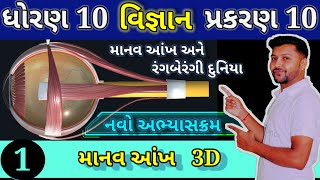 Human Eye in Gujarati  માનવ આંખ અને રંગબેરંગી દુનિયા  STD 10 SCIENCE CH 10  ભાગ 1 [upl. by Staley]