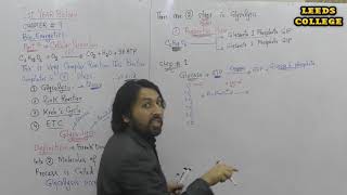 Glycolysis  Preparation step BioEnergetics  Lec DrManzoor  LEEDS College Peshawar [upl. by Rolando905]