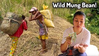 Binuhat ang mga Palay pababa ng Bundok Buhay Magsasaka sa Bundok  ROMALYN VLOGS [upl. by Cassil]