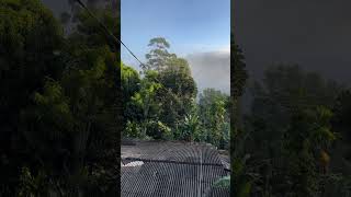 🇱🇰Sri Lanka Nuwara Eliya🇱🇰 Early Morning View from Resort nature travel trending viralvideo [upl. by Sweeney742]