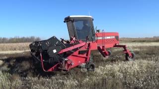 KACZMAR MASSEY FERGUSON 220 SWATHER APRIL 20 2015 GRENFELL SK MACK AUCTION CO [upl. by Nicolau]