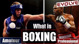 What Is Boxing  Brief History  Rules  Amateur  Professional HINDI Audio [upl. by Jeremy136]