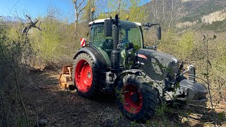 Un peu de broyeur forestier pour nettoyer une parcelle [upl. by Adyela]