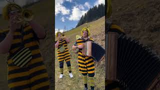 Wildkogel Buam  WB‘s „Biene Maja“ Kurzvideo [upl. by Yatnuahs]