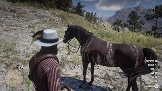 Red Dead Redemption 2  Warped Brindle Arabian Location [upl. by Salokcin200]