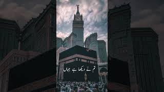 Ek Din Jibreel Se Kehne Lage Shahe Umam ll🥰 Nat Lyrics statusMadina status ll madina shortsvideo [upl. by Braden865]