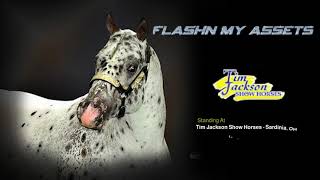 Flashn My Assets 2021 Appaloosa World Show [upl. by Fontes]