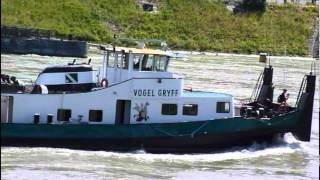 rheinschiff VOGEL GRYFF in basel [upl. by Gussi955]