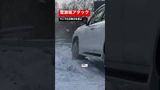 ランクルの走破性は雪道でも凄いランドクルーザーlx570 オフロード [upl. by Cohette99]