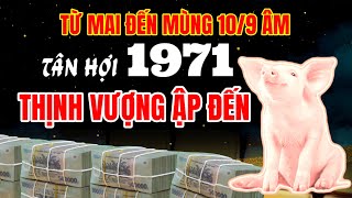 Tử Vi Tuổi Tân Hợi 1971 Sự Thịnh Vượng Bất Ngờ Đến Từ Nay Đến 109 Âm Lịch [upl. by Ocin]