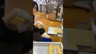 Making Hong Kong style wonton egg noodles on Richmen Gold 2 noodle machine [upl. by Lynad]