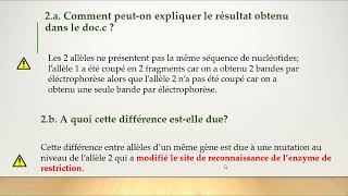 Electrophorèse sur gel suite SV Génétique Chapitre 3 Document 4 [upl. by Neva]