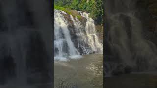 Abbey waterfalls coorg india travel youtubeshorts [upl. by Hsirrehc412]