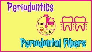 PERIODONTAL FIBERS  PRINCIPAL FIBERS  PERIODONTICS  EASY DENTAL LECTURE  5 min DENTISTRY [upl. by Hayden]