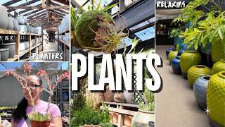 Plant Shop with Me  Plant Heaven  Beautiful Ceramic Pots  Balcony Refresh Succulents [upl. by Nohshan373]