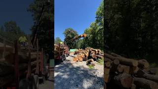 Got the Good Stuff Big Ole Load of Red Oak [upl. by Miza]