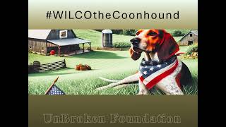 HappyBirthdayVanna Vanna WILCOtheCoonhound Birthday WILCO [upl. by Franni]