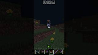 Minecraft zombie villager librarian killed short [upl. by Theran]