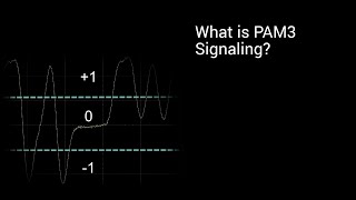 What is PAM3 Signaling [upl. by Elvin]