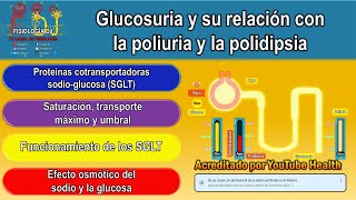 Glucosuria  Poliuria  Polidipsia  Glucosa en orina orina abundante sed Glucosa alta y diabetes [upl. by Yragerg316]