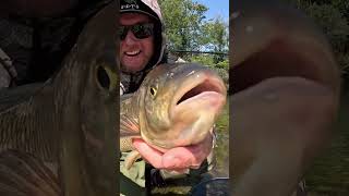 MYSTERY GIANT FISH What is it fishing outdoors flyfishing bigfish [upl. by Aubreir]